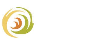 vmissions